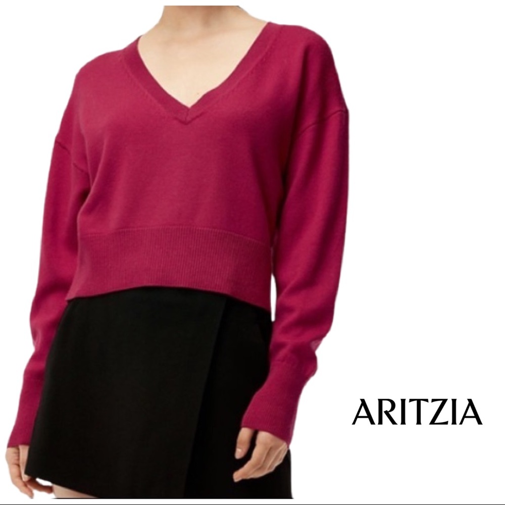 Aritzia Babaton Ollie Cropped Merino Wool